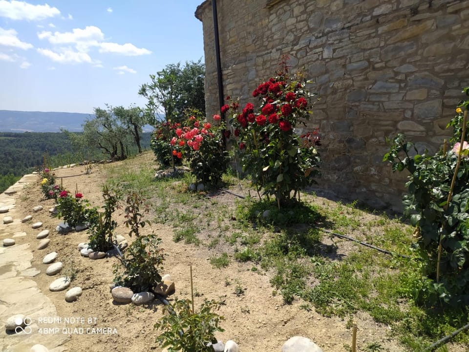 Casa Dominica Country House in Catalonia