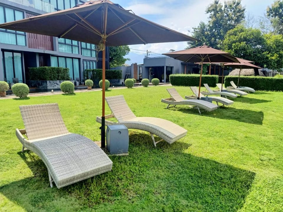 Natural landscape, Garden, Garden view, Pool view