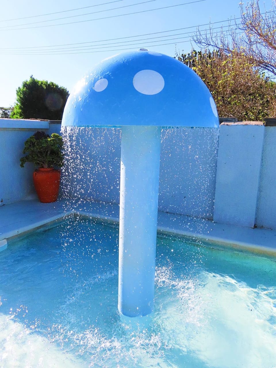 Swimming pool