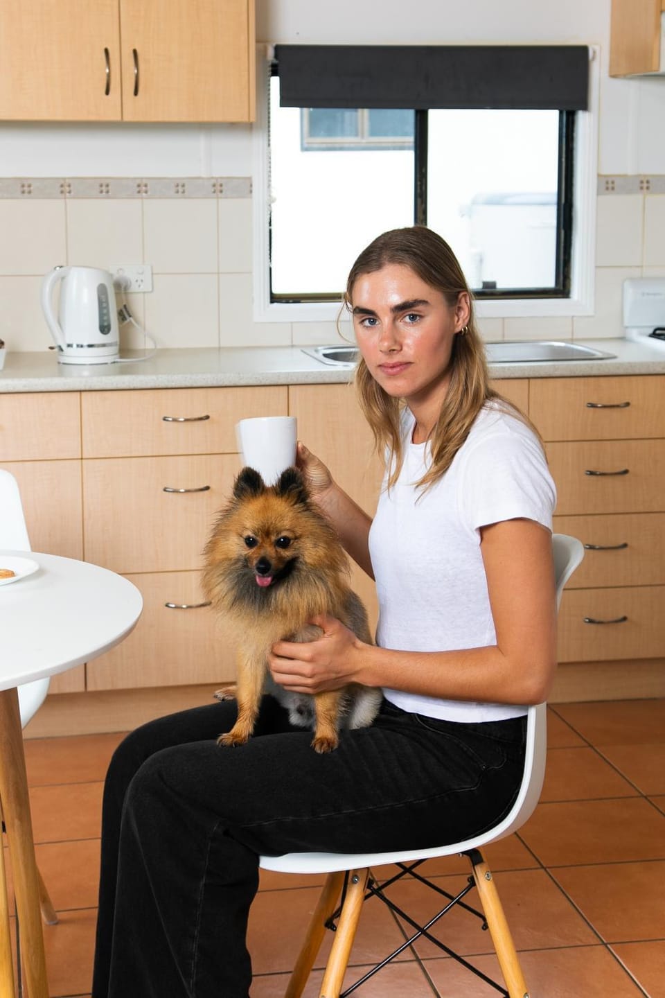 pet friendly