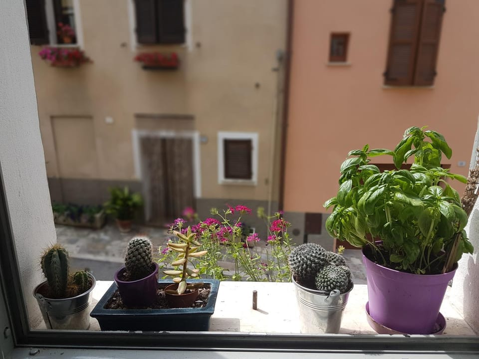 View (from property/room)