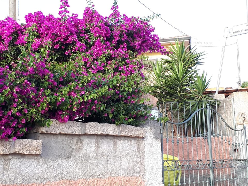 Appartamento La casa di Milena Apartment in Sardinia