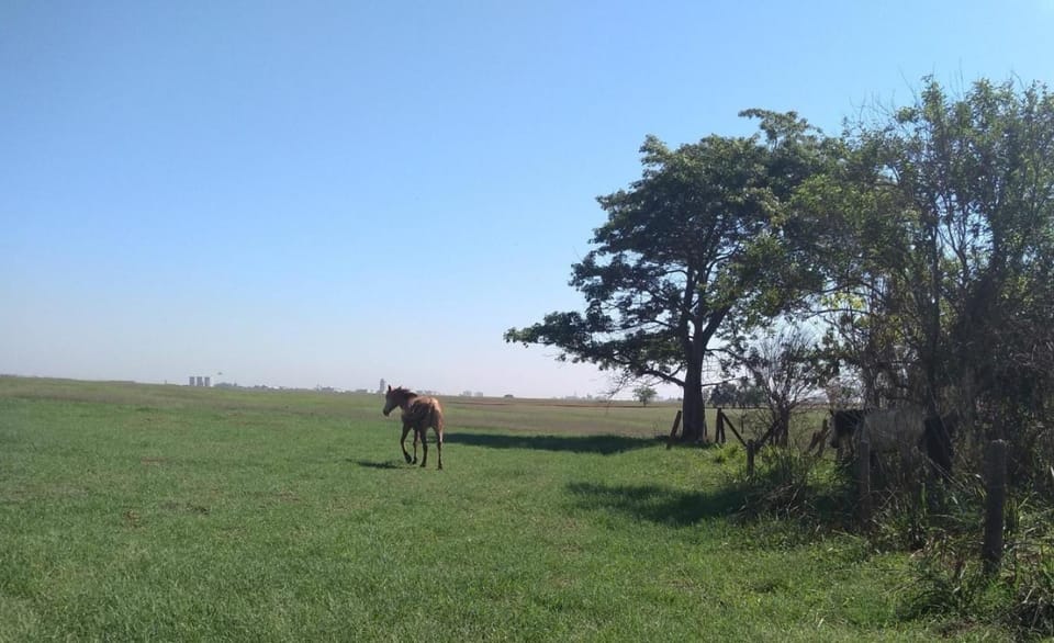 Estancia Montagner Country House in Paulínia