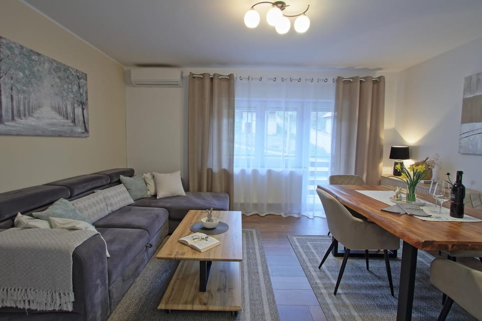 Living room, Seating area, Dining area, air conditioner