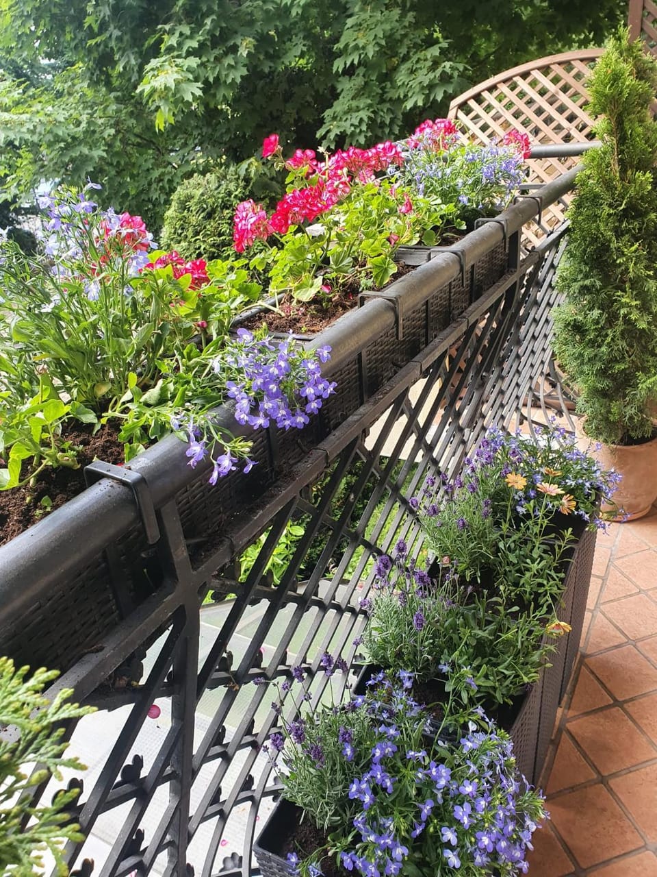 Balcony/Terrace