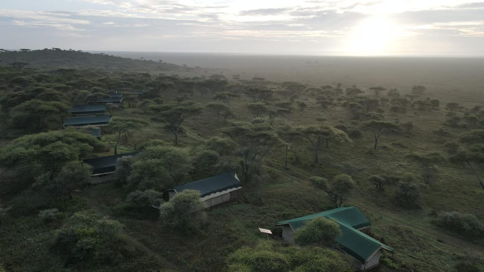 Serengeti Woodlands Camp Nature lodge in Kenya