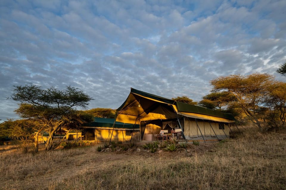 Serengeti Woodlands Camp Nature lodge in Kenya
