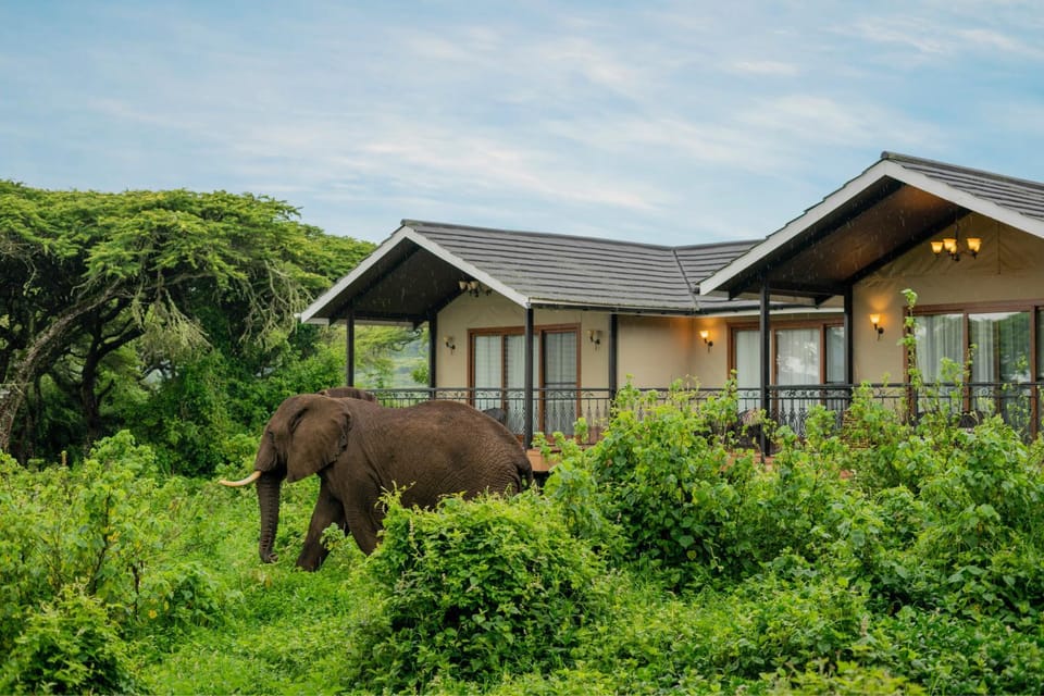 Natural landscape, Animals