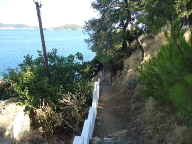 Plakes Suites Apartment in Skiathos