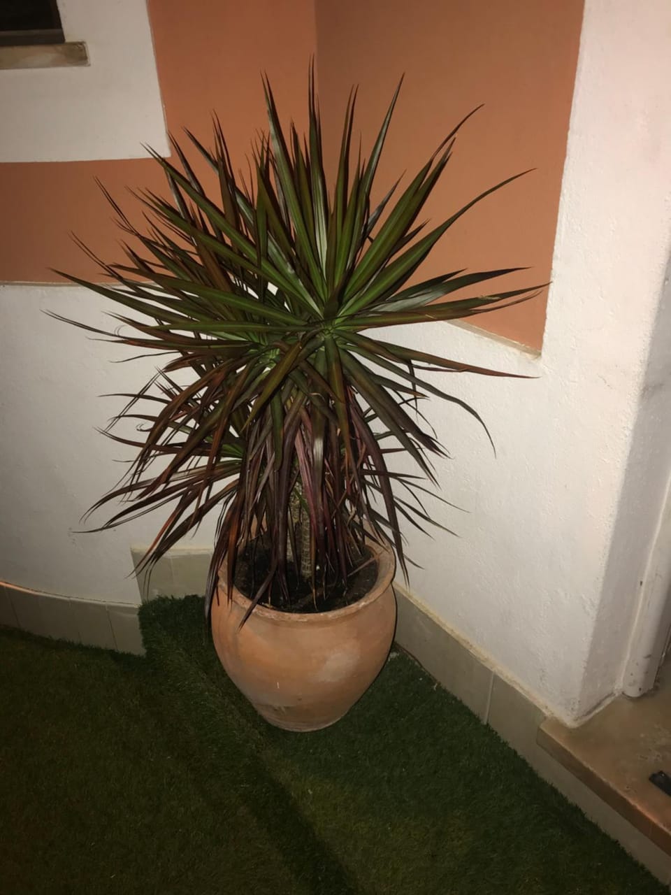 Sun Place Guest House Bed and Breakfast in Lagos