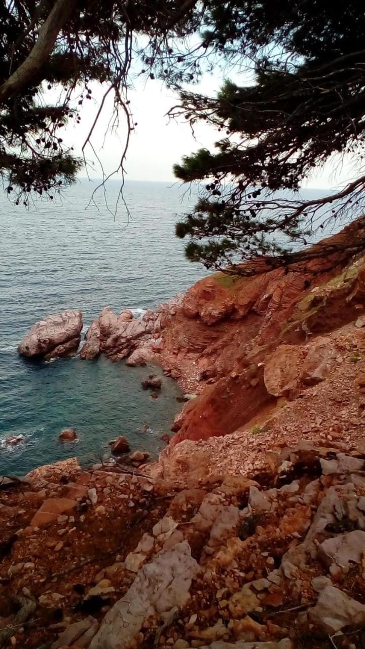 Dom za odmor J&S Apartment in Montenegro