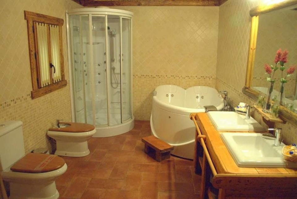 Shower, Toilet, Hot Tub, Bathroom, Bath, bidet