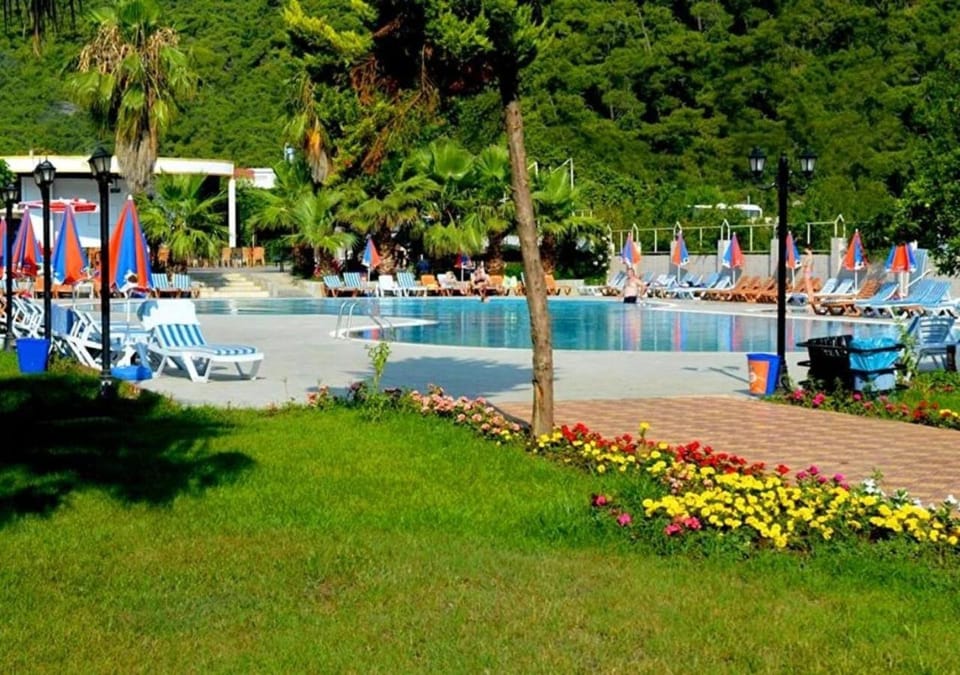 Natural landscape, Garden, Garden view, Pool view, Swimming pool