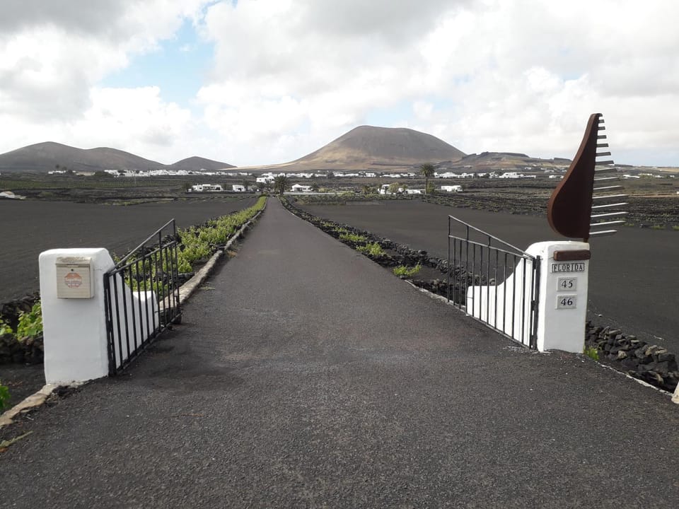 Ecofinca La Buganvilla Apartment in Isla de Lanzarote