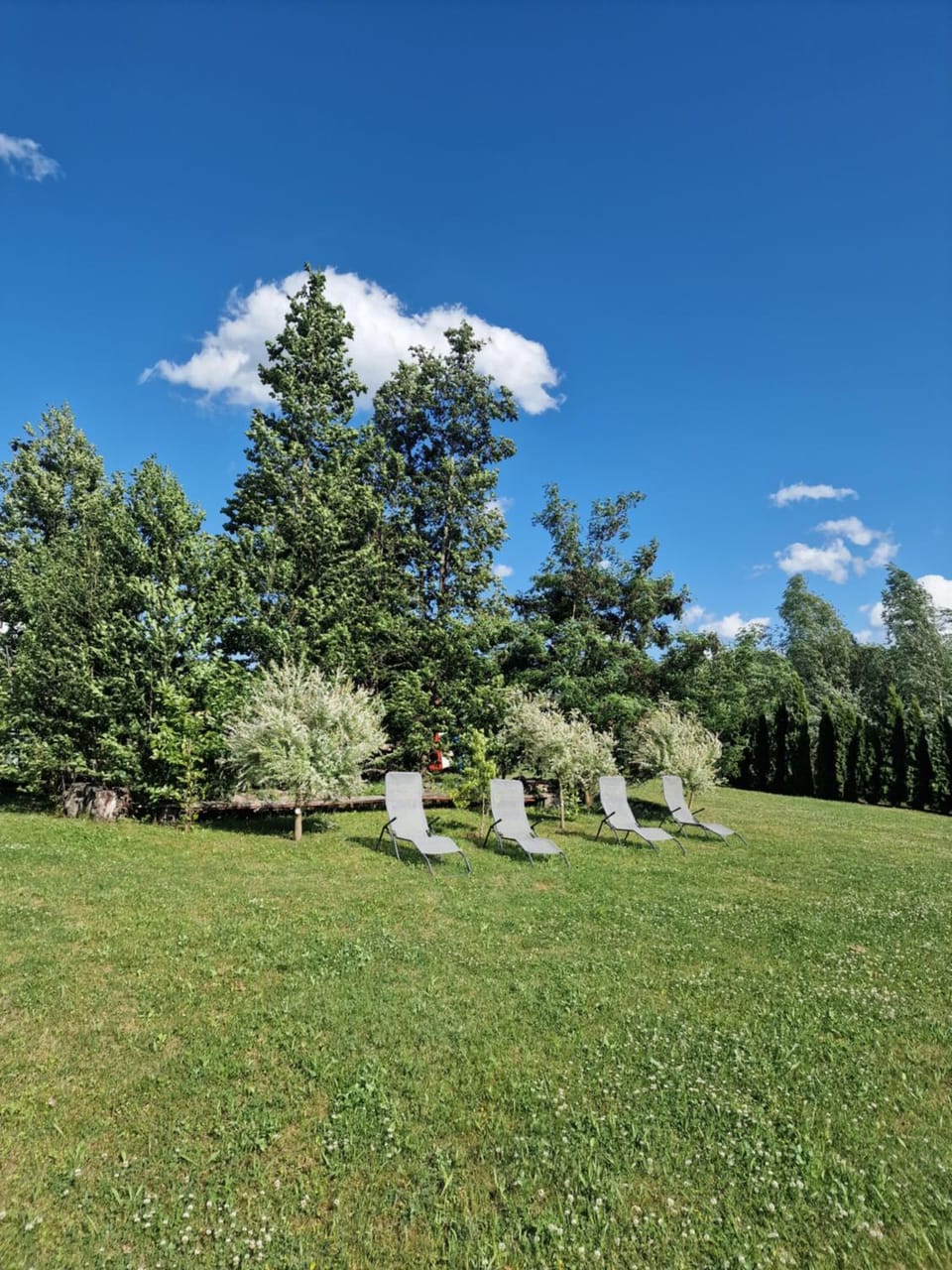 Natural landscape, Garden