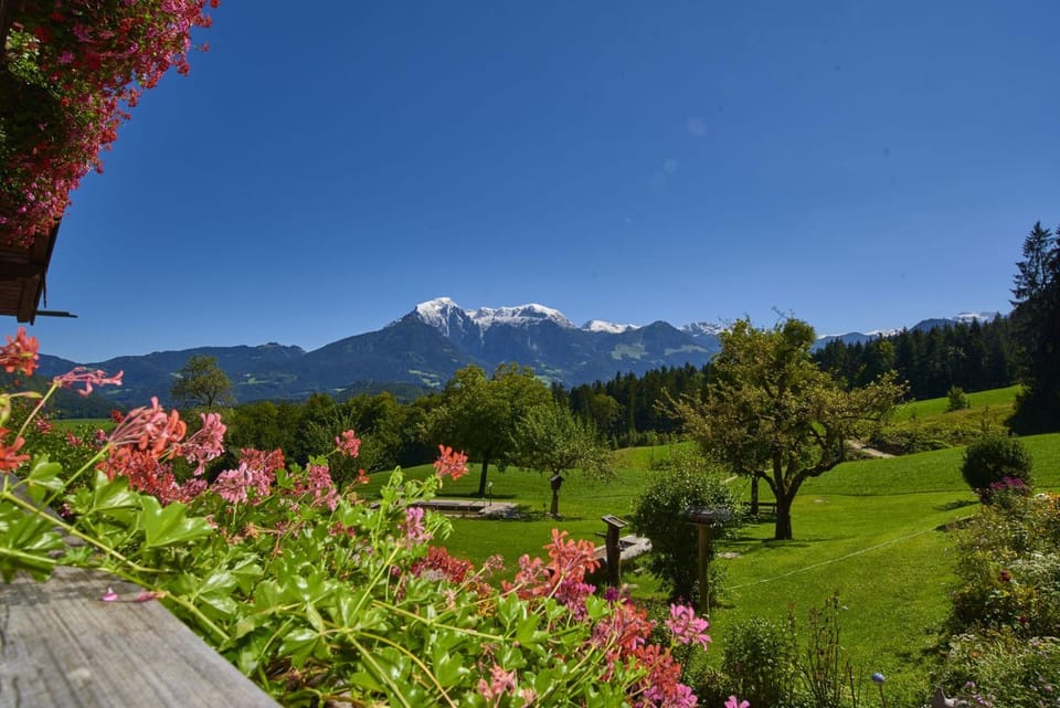 Natural landscape
