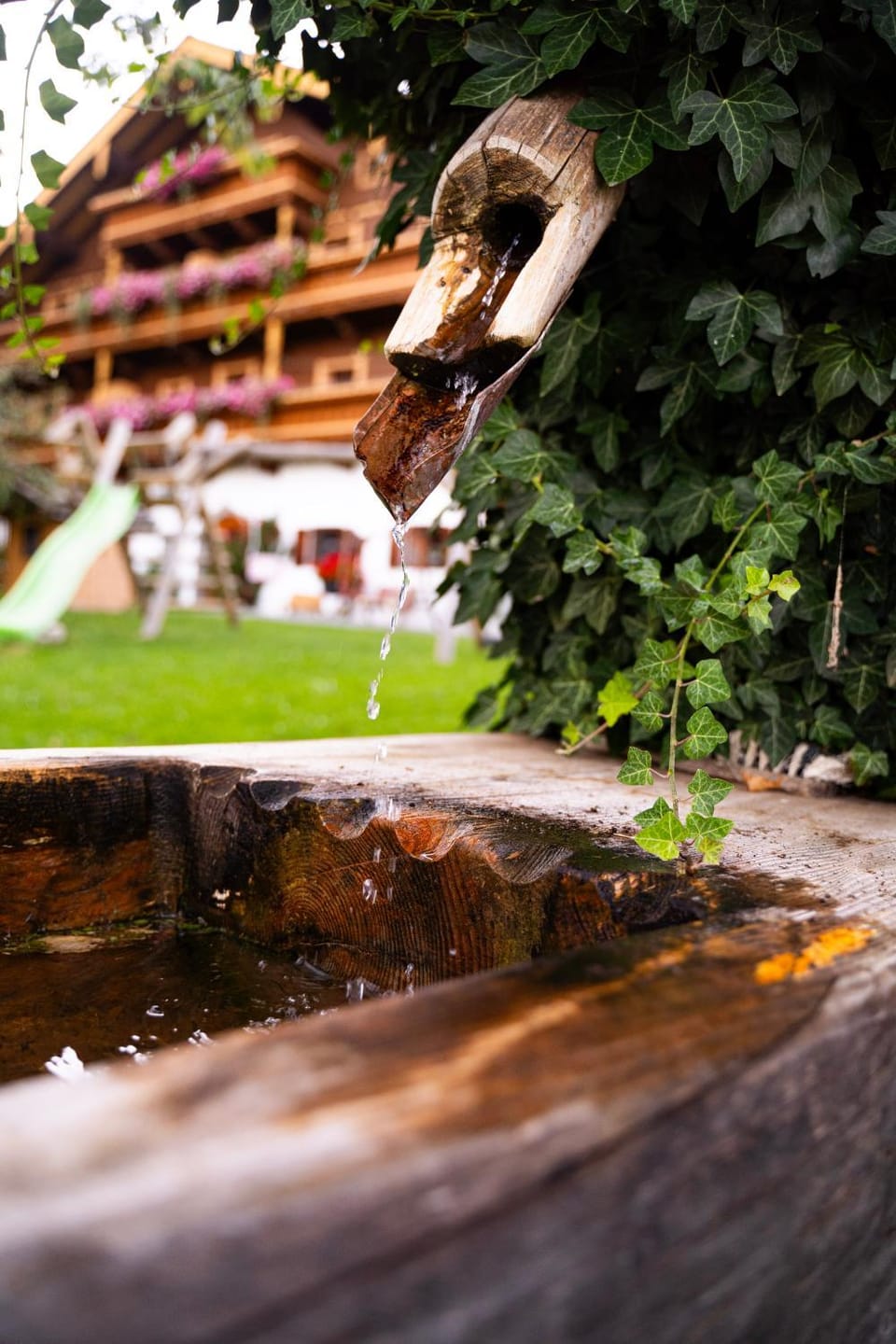 Vorderkasbichlhof Farm Stay in Salzburgerland