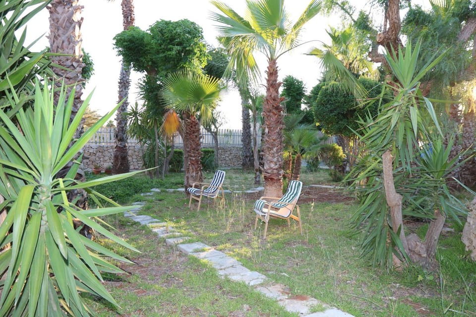 Claudia vacanze House in Apulia