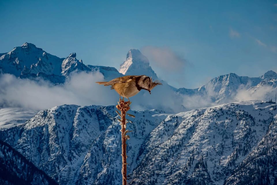 Brigerblick OG Apartment in Canton of Valais