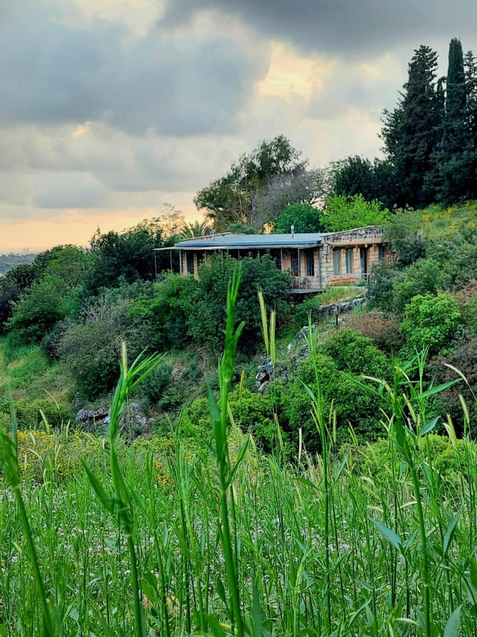 Day, Garden, Garden view