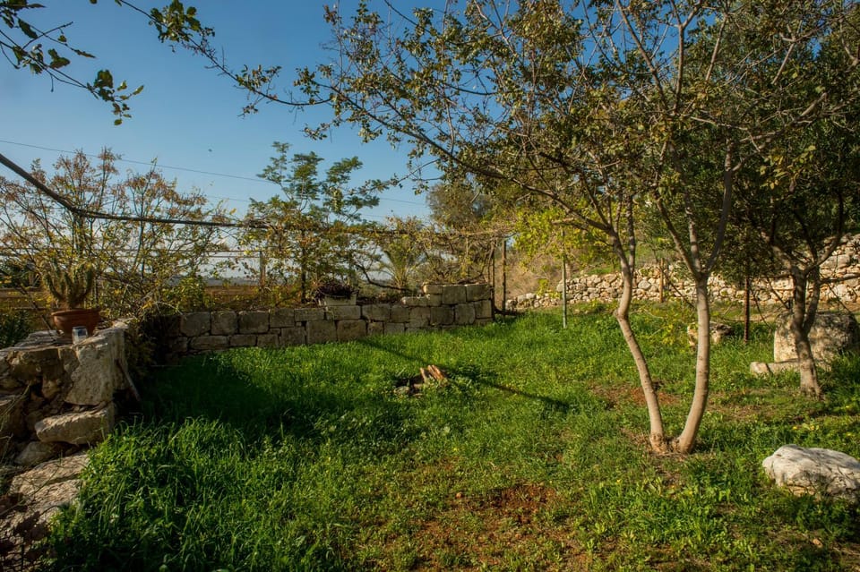 Spring, Natural landscape, Garden, Garden view