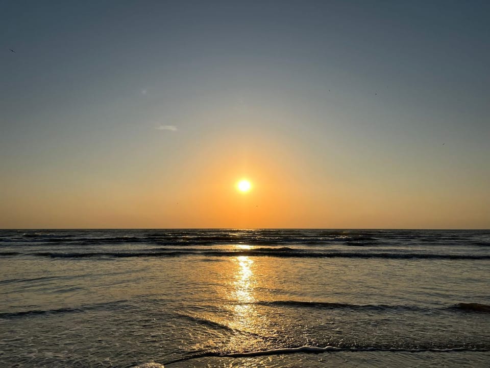 Apartments Excelsior Mamaia Nord Bed and Breakfast in Constanța County