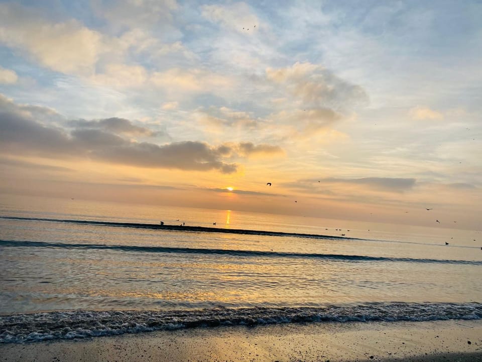 Apartments Excelsior Mamaia Nord Bed and Breakfast in Constanța County