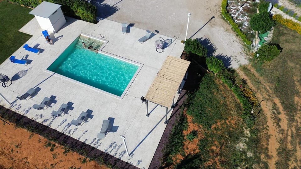Natural landscape, Bird's eye view, Garden, View (from property/room), Garden view, Swimming pool, Inner courtyard view