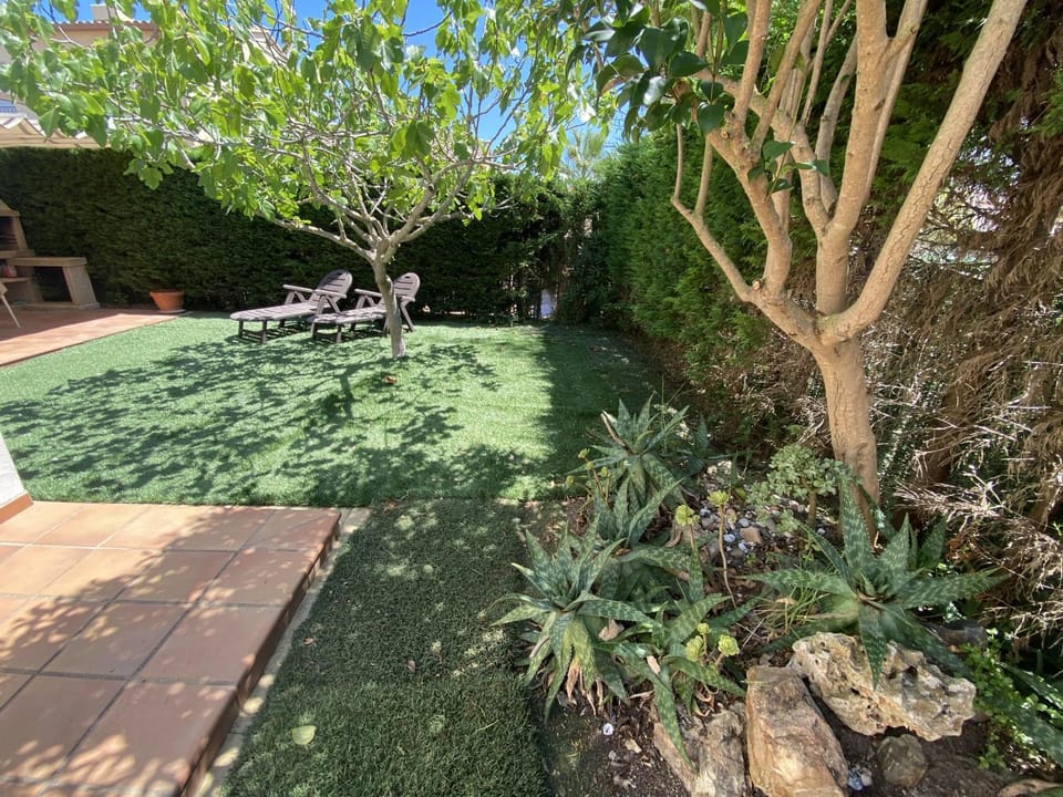 Patio, Garden, Garden view