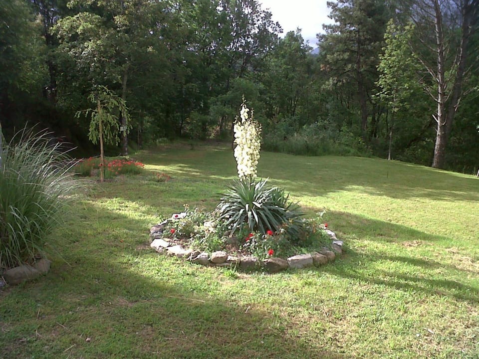 Garden, Garden view
