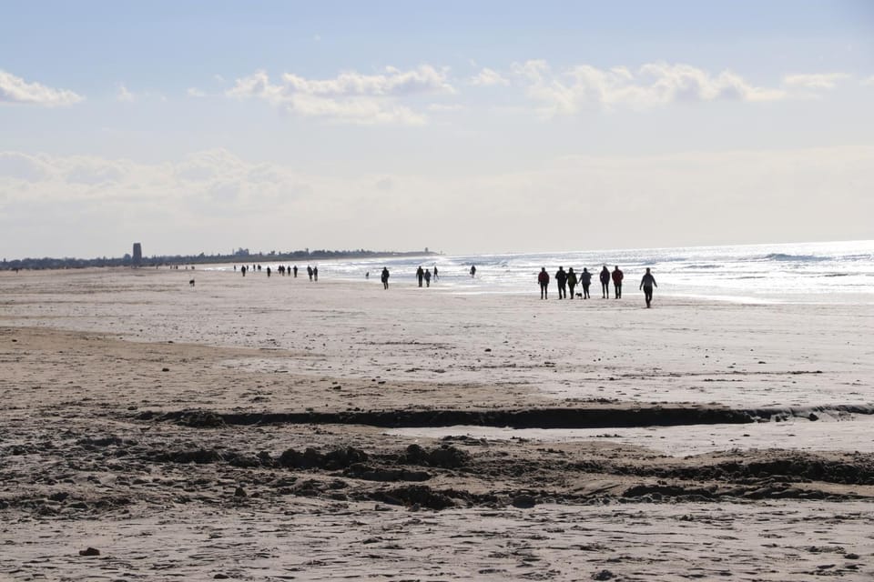 Natural landscape, Beach