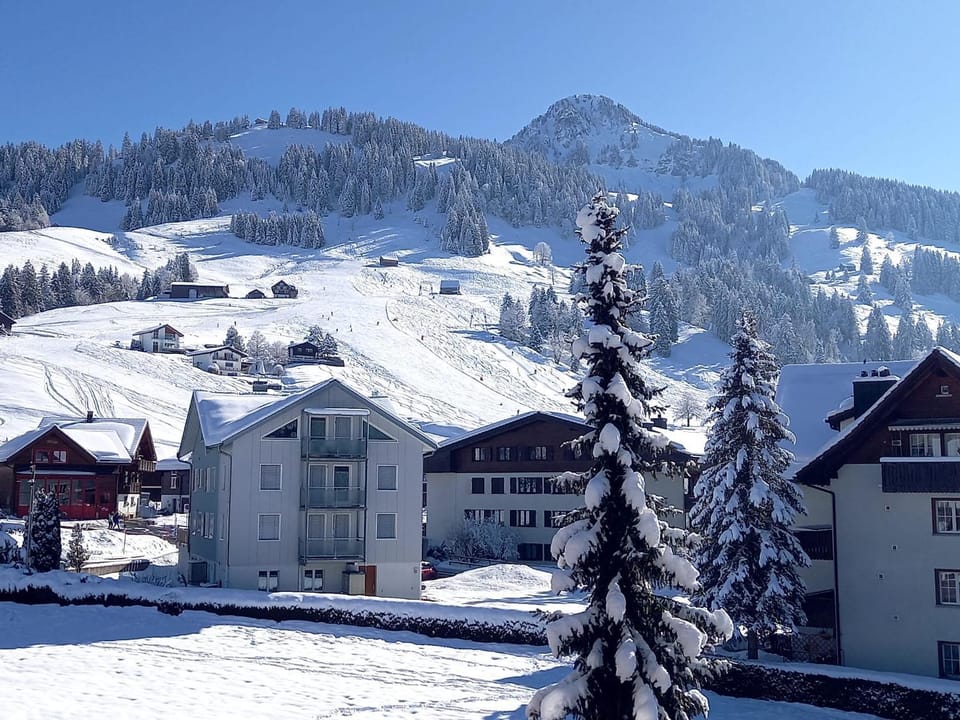 View (from property/room), View (from property/room)