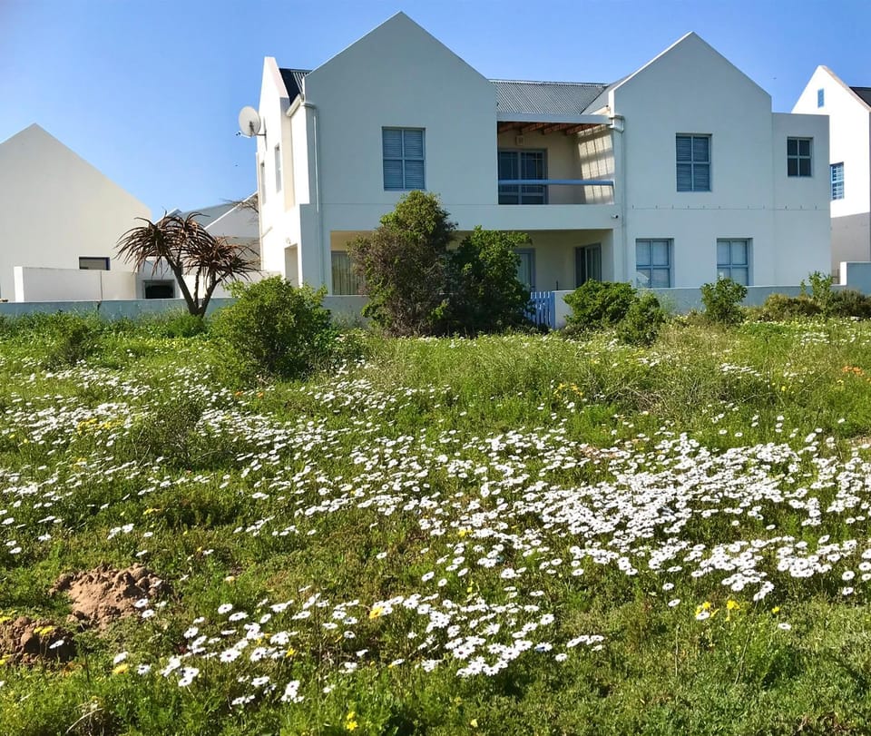 Spring, Day, Natural landscape, Garden view