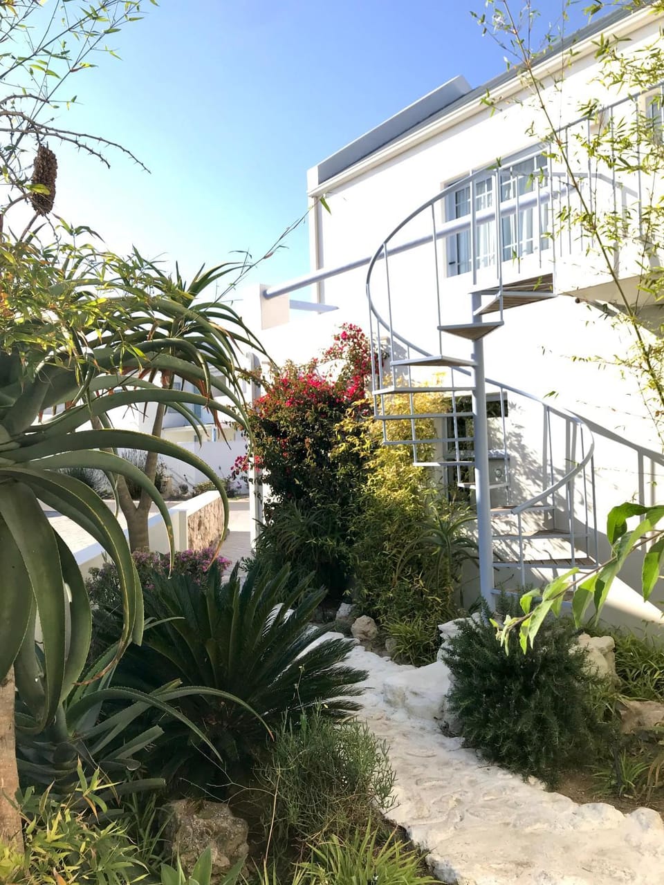 Property building, Garden, Garden view