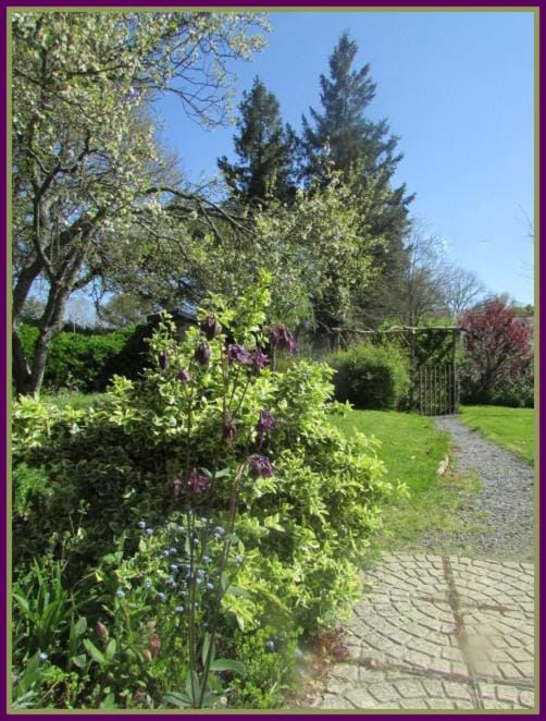 Patio, Garden, Area and facilities