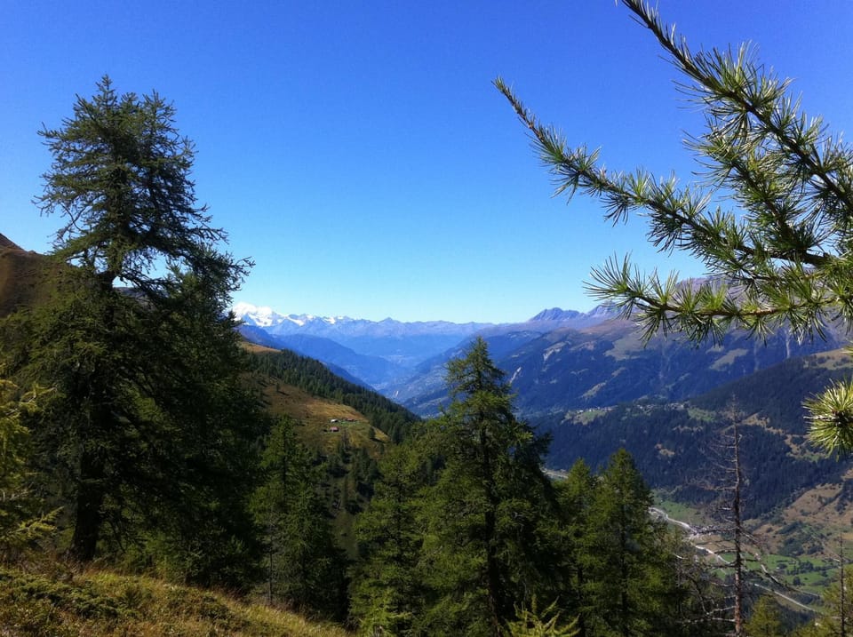 Natural landscape, Autumn