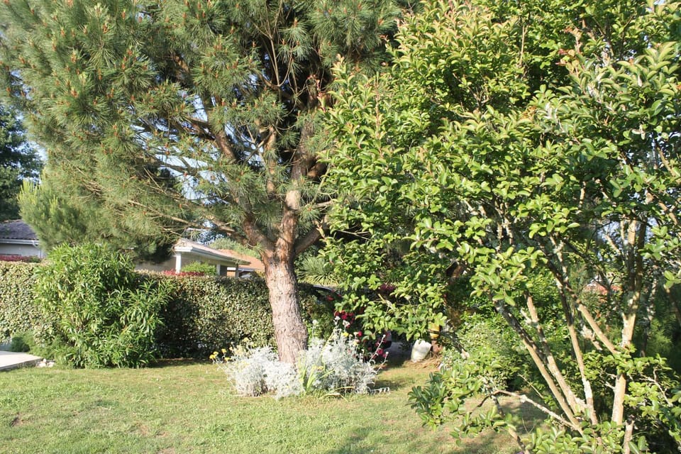 Chez Sophie Bed and Breakfast in Arès