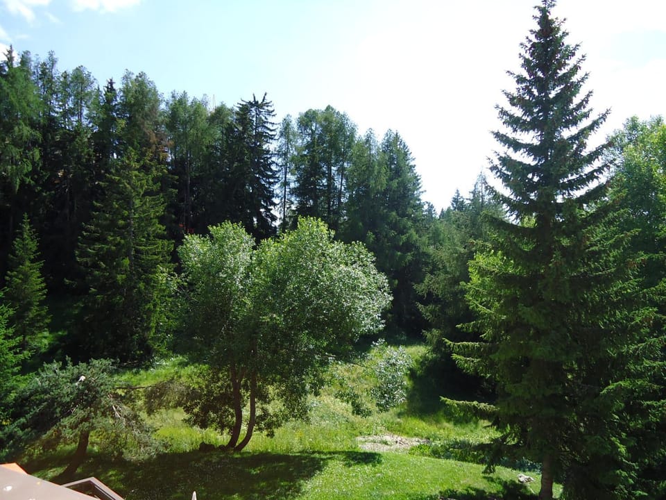 Natural landscape, Summer, Garden, View (from property/room), View (from property/room), Garden view