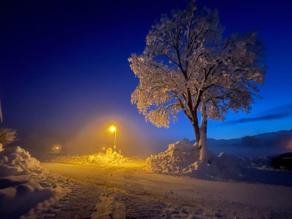 Natural landscape, Winter