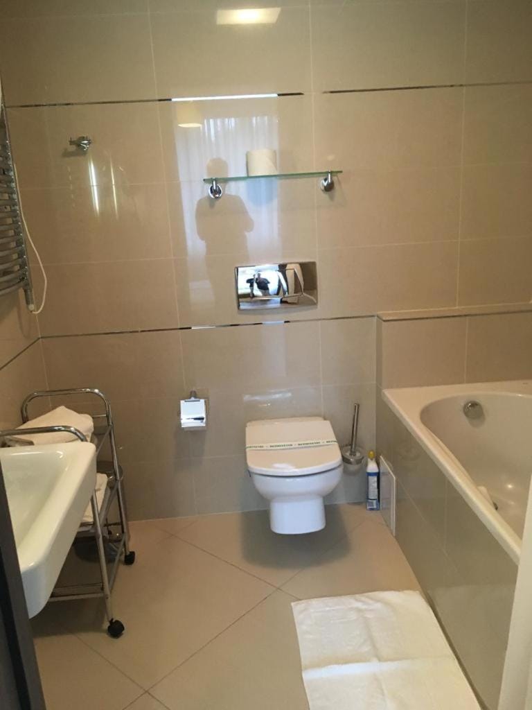 Silver Luxury 6 Apartment in Brasov