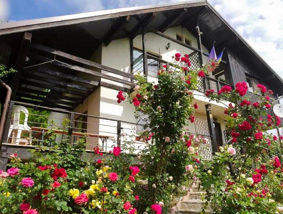 Casuta cu Trandafiri Bed and Breakfast in Prahova, Romania