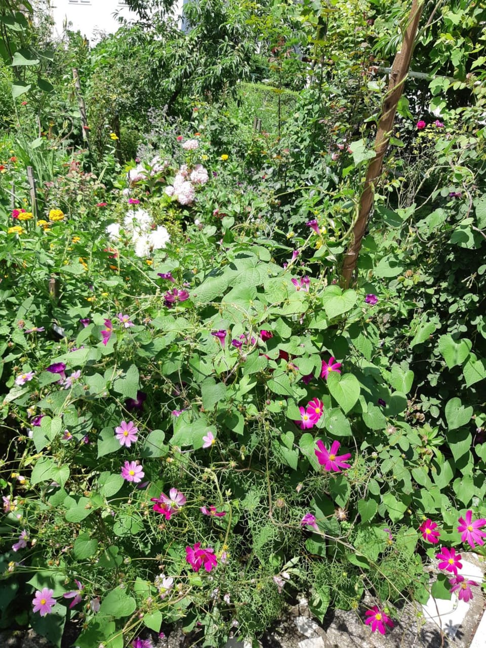 Garden, Other