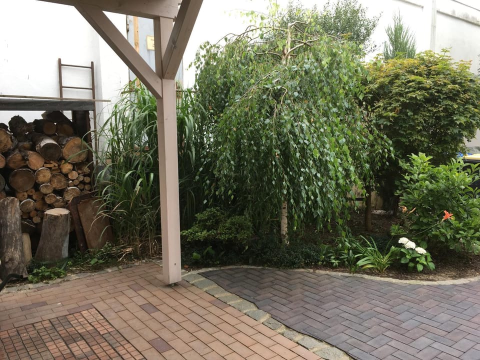 Patio, Garden, Garden view