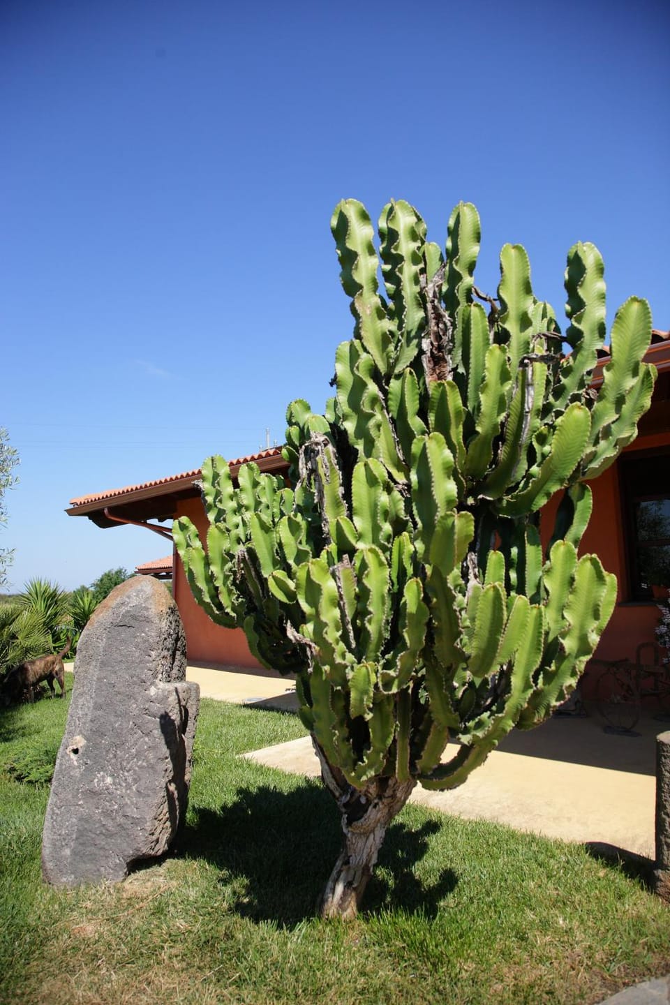 CuccuruAio' B&B 10 minuti da Torregrande Farm Stay in Sardinia