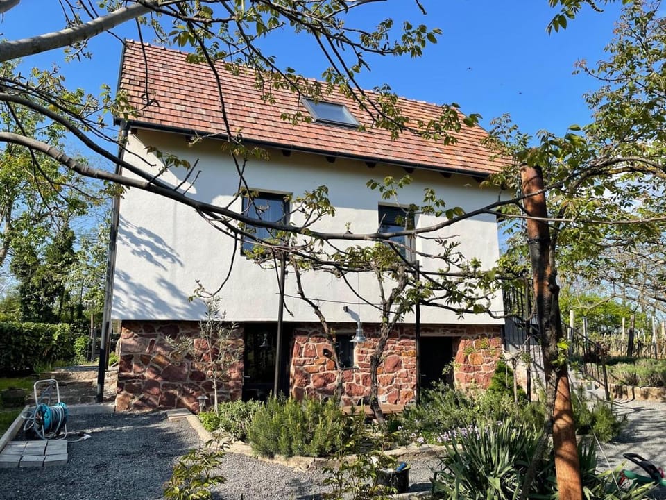 Rózsakő Ház House in Hungary