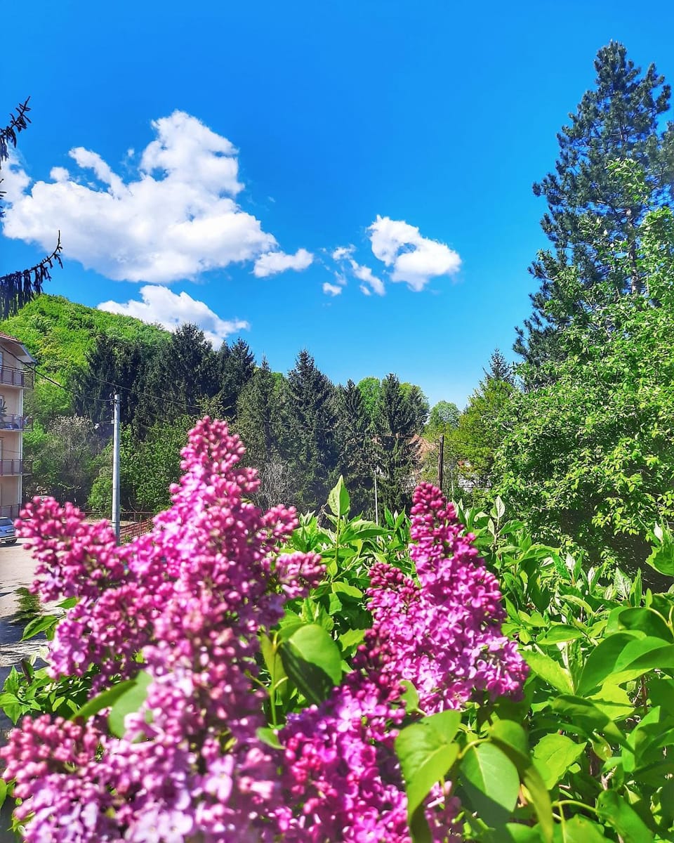 Natural landscape