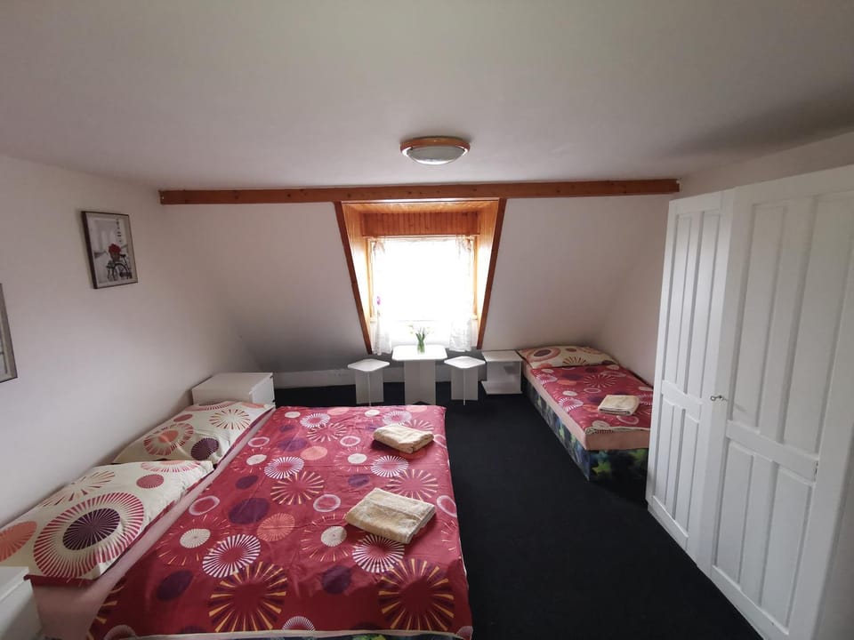 Penzion Tomy Pihlov Bed and Breakfast in Horní Planá