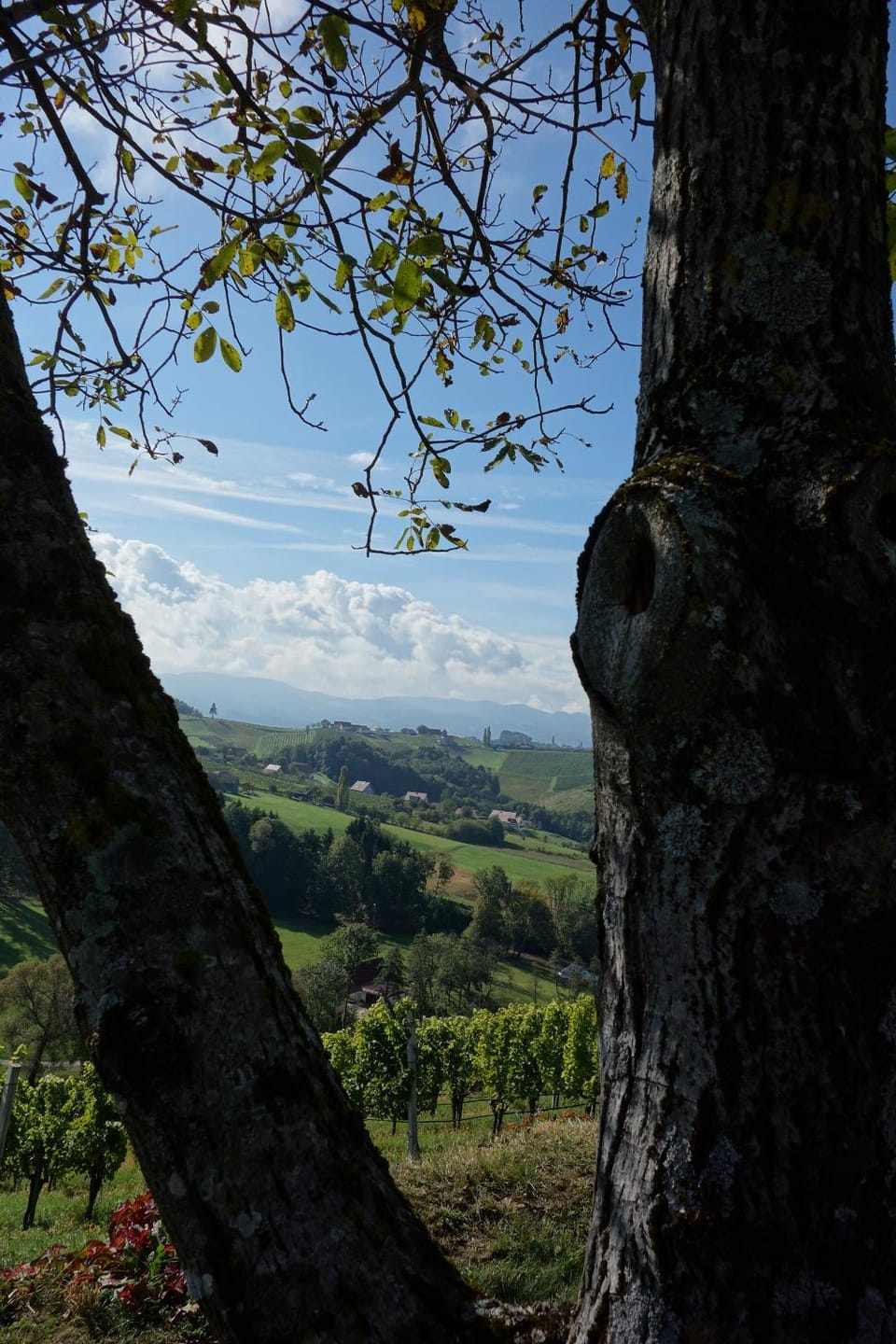 Natural landscape
