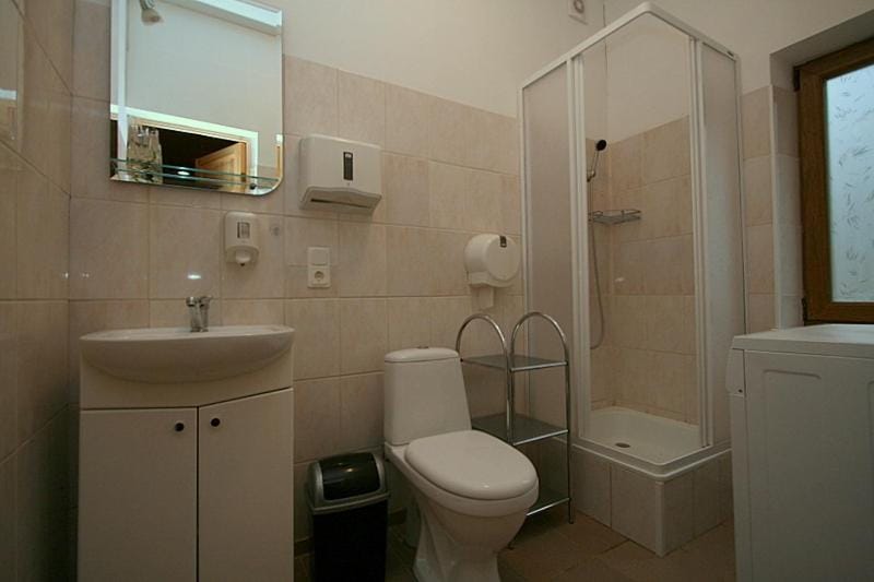 Shower, Toilet, Bathroom, Decorative detail