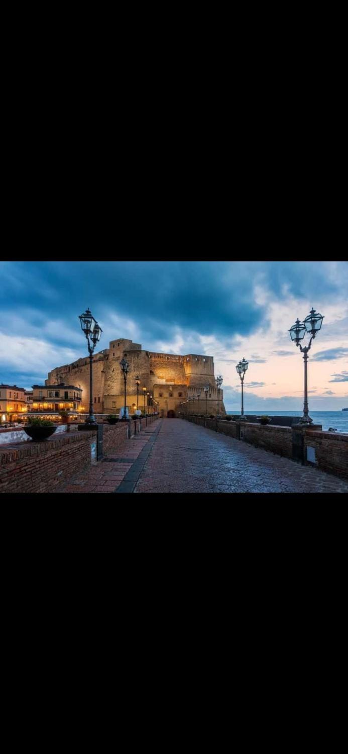 Vecchia Napoli - Anticaglia Apartment in Naples